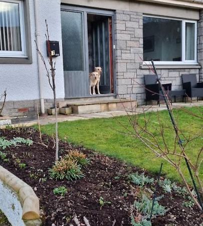 Bb@No17 Bed and Breakfast Aviemore Exteriör bild