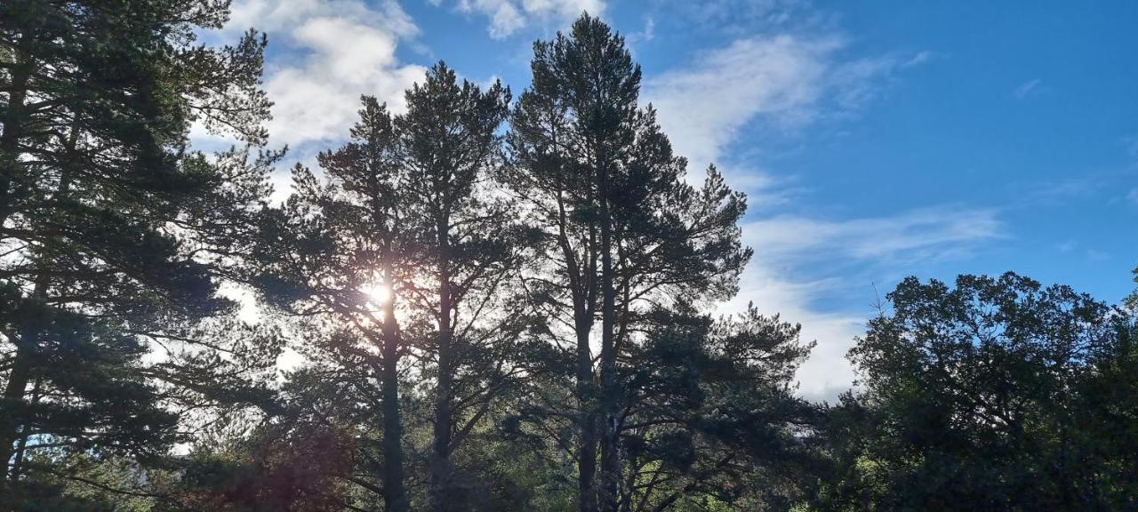 Bb@No17 Bed and Breakfast Aviemore Exteriör bild