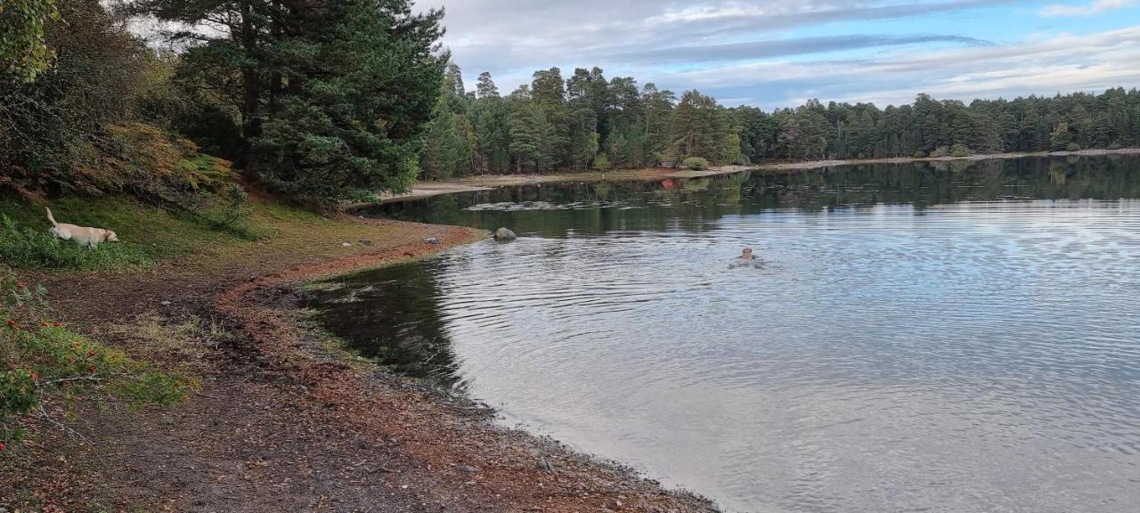 Bb@No17 Bed and Breakfast Aviemore Exteriör bild