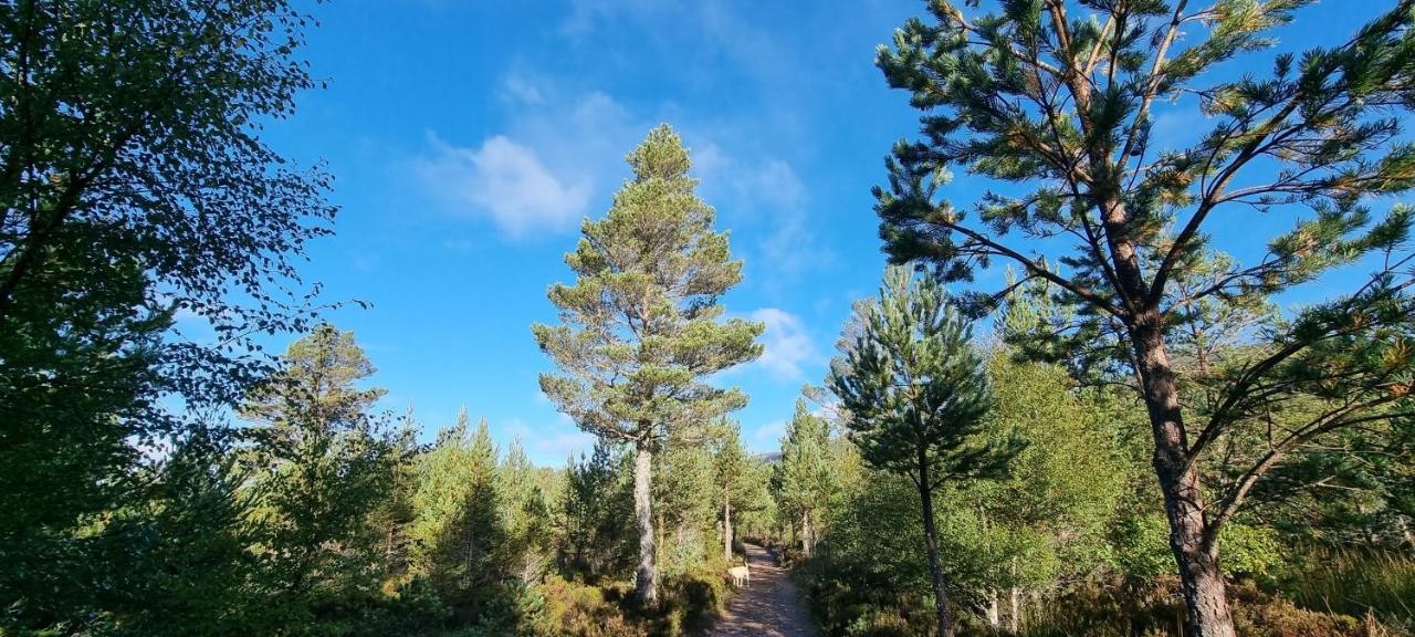 Bb@No17 Bed and Breakfast Aviemore Exteriör bild