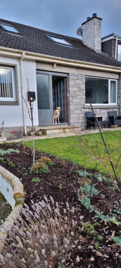 Bb@No17 Bed and Breakfast Aviemore Exteriör bild