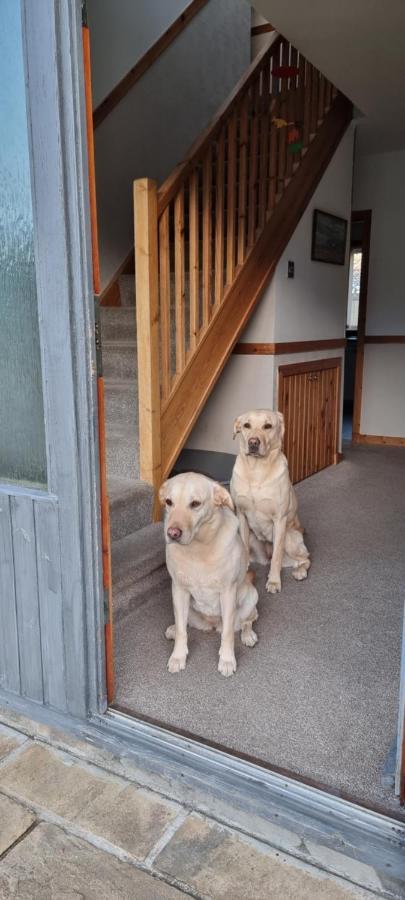 Bb@No17 Bed and Breakfast Aviemore Exteriör bild
